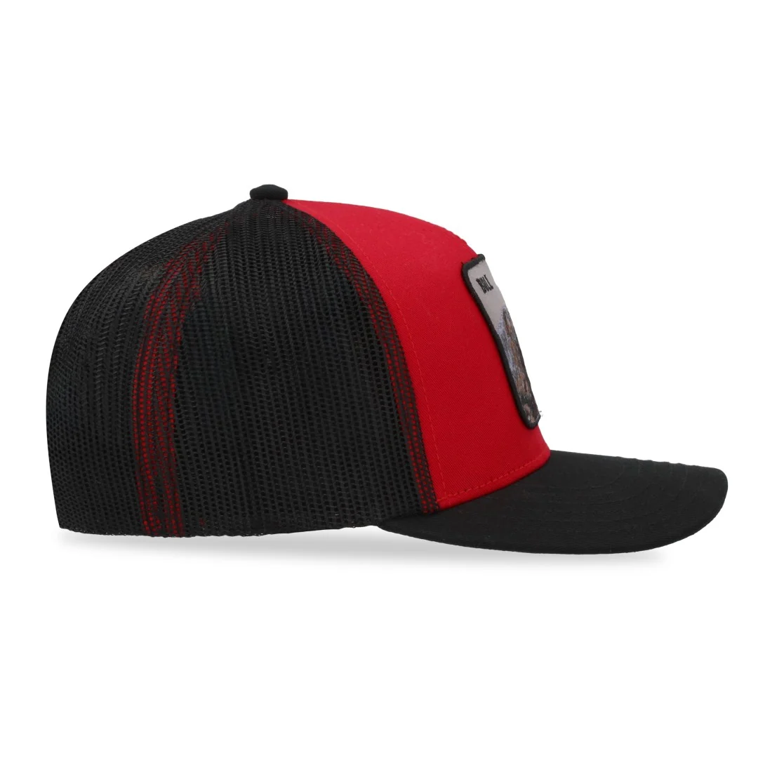 GORRA KSWISS MULTICOLOR 69670 - Image 6