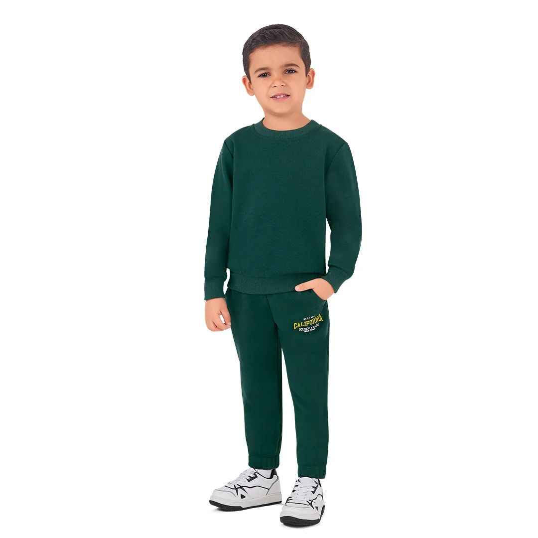 SUDADERA ESTAMPADA VERDE 96496